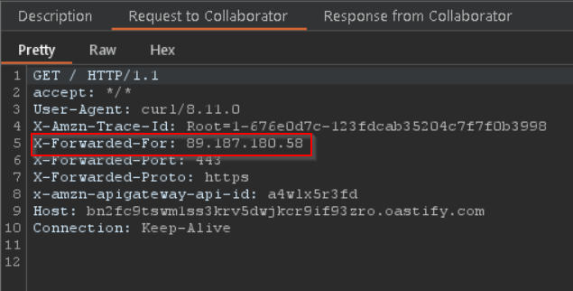 X-Forwarded-For HTTP header reveals the source IP address of the original request (I used a VPN)