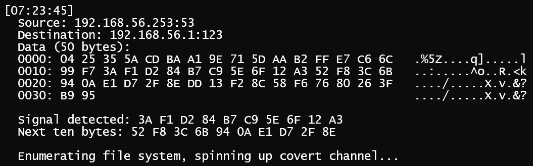 Socket filter received signal to exfiltrate data